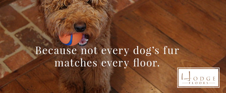 Pet Friendly Floors