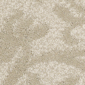 Hodge Floors More Than Carpet Spartanburg Sc Carpet 7