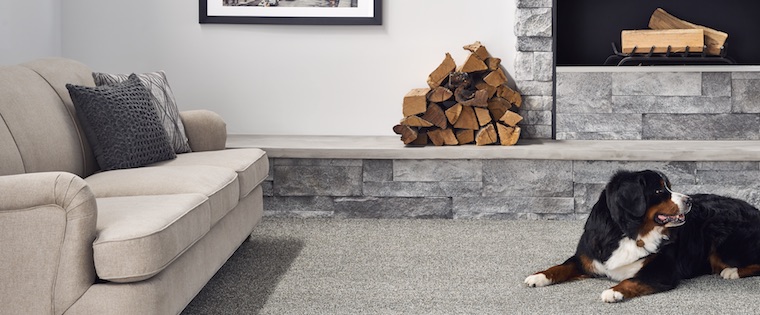 Pet & Life-Friendly Flooring